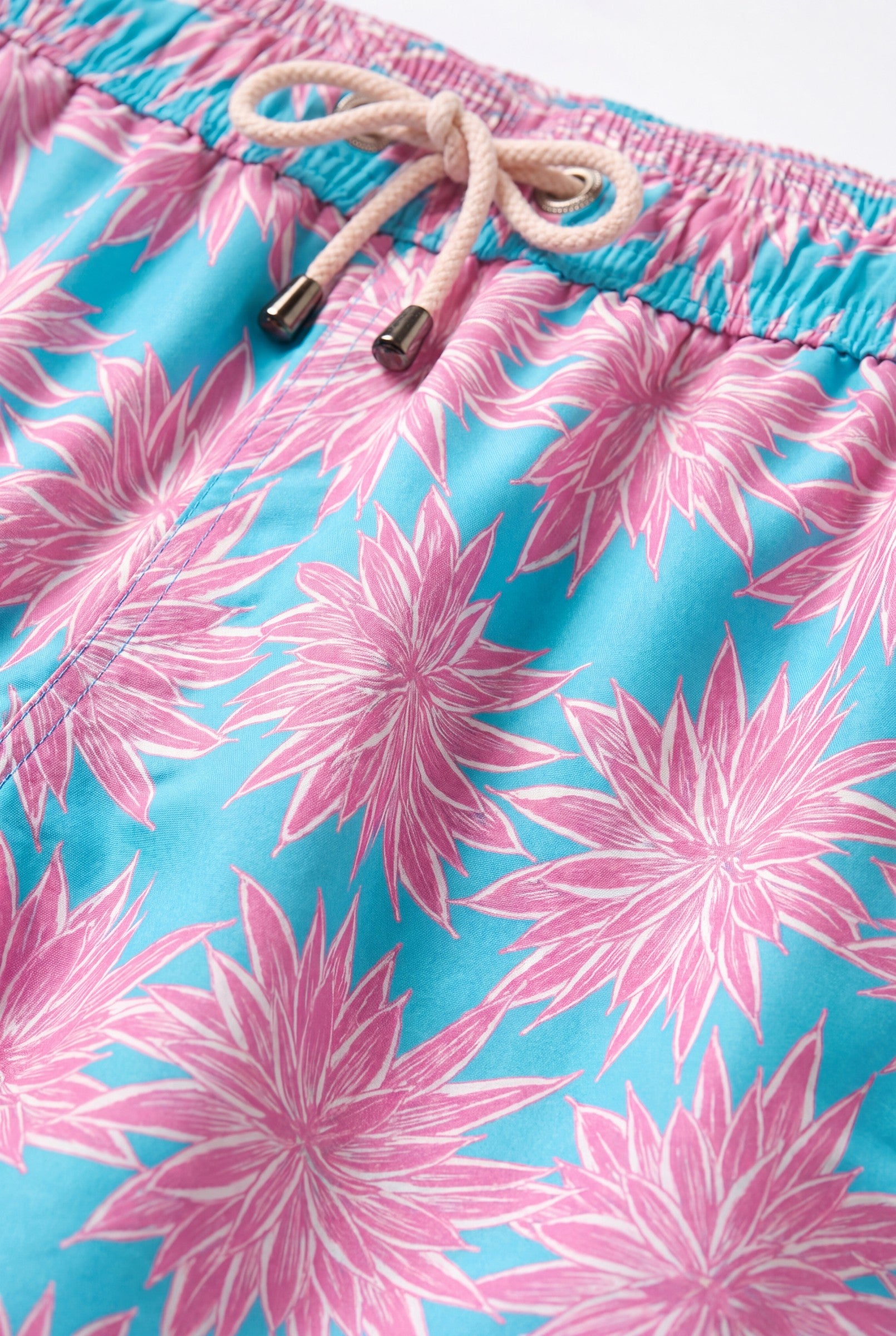 Men's Agave Print Swim Shorts | Blackstone London